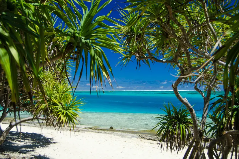 Royal Beach Club Lelepa & South Pacific Cruise