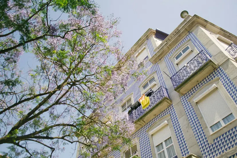 Vida Portugal: Vineyards & Villages Along the Douro with 3 Nights in Lisbon