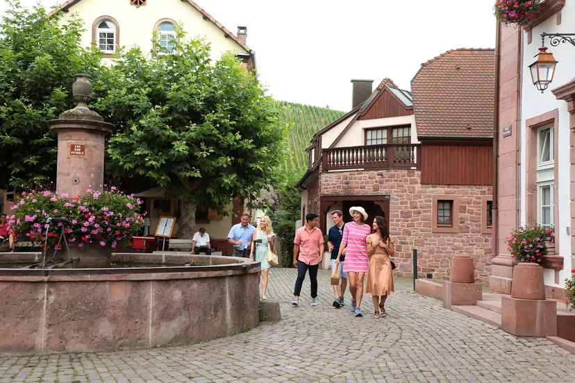 Special Interest Tours