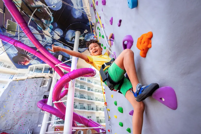 Rock Climbing Wall