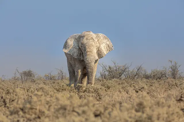 Kruger National Park